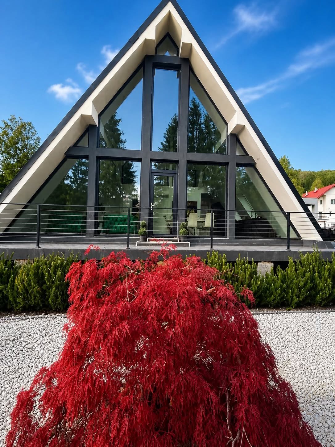 Pine Hill 1 — imagine 2