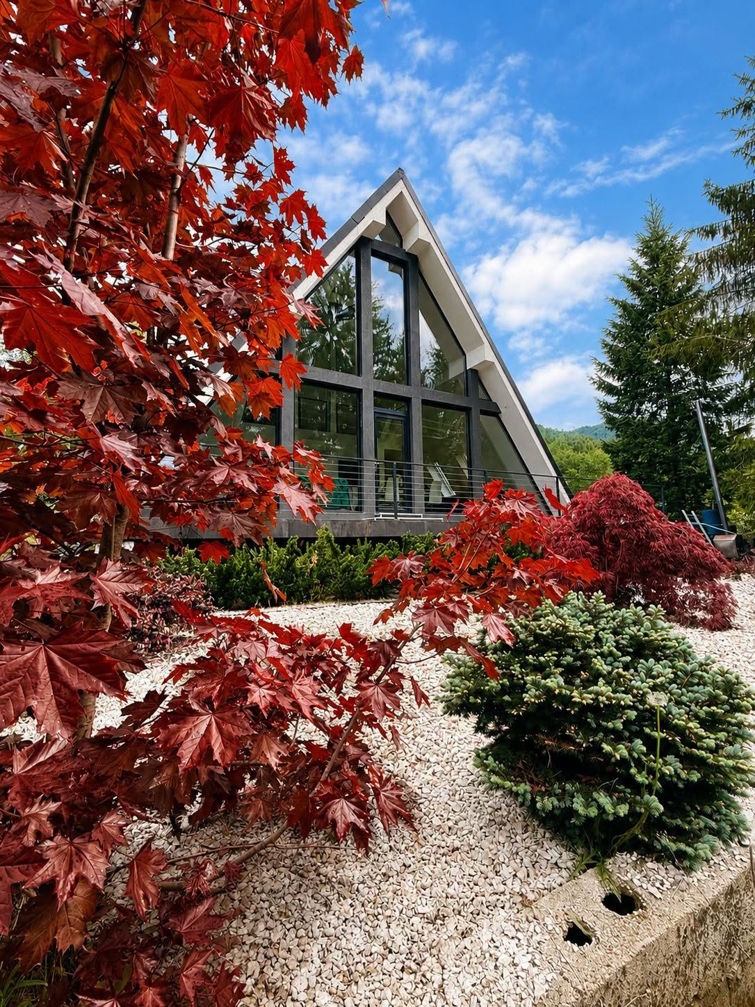 Pine Hill 1 — imagine 5